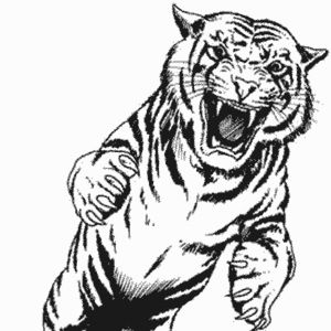 Meet your Posher, Deandres